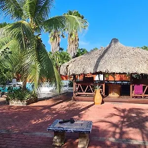  Bed & Breakfast Woodstock Palmresort